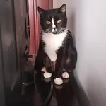 Kto Pokocha Plamkę ?