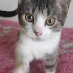 Czas Majwyższy Żeby Ktoś Ich Pokochał