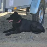 Zaginął/poszukiwany