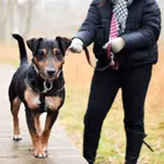 Fridek 645/2023 REZERWACJA