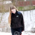 Pies do adopcji, Elbląg, 17 grudnia 2023