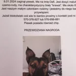 Zaginął pies, Łódź, 10 stycznia 2024