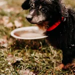 Poldek 616093902342030