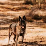 Yoko 616093902282962