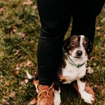 Cosmo 616093902282917