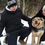 Pies do adopcji, Nowodwór, 21 stycznia 2024