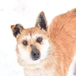 25.12.2023- Sobieskiego