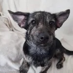 Pierwsi Przywieźli Go W Środku Nocy Po Awanturze Drudzy Oddali W Dniu Urodzin