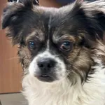 SUCZKA ZNALEZIONA 22.02.2024