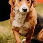 Ruby 616093902778447