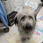 17.02.2024- Witosa/ Ofiar Firleja