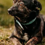 Mundek 616093902338487