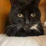 4429/183/23 Echo - data przyjęcia - 20.12.2023