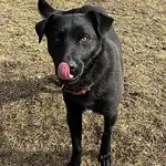 12754/254/23 Nemo -data przyjęcia 23-11-2023