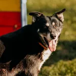 Mufi 616093902277591