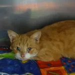 KOTKA INTERWENCJI 03.04.2024