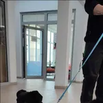 Znaleziono psa, Grudziądz, 5 kwietnia 2024