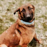 Archie 616093902283013