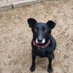 Solo - ur.ok. 18.04.2016