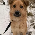 Power - ur. ok. 13.09.2022