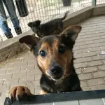 Hyzio - ur.ok.29.12.2019