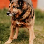 Hektor 616093902519307