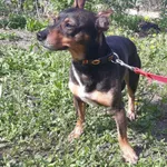 12859/73/24 Kaj  data przyjęcia - 13.04.2024