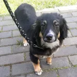 12858/72/24  data przyjęcia - 13.04.2024