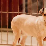 Bryska 616093901768809