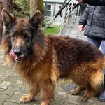 12862/76/24  data przyjęcia - 16.04.2024