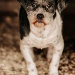 Lady 616093902519731