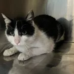 4467/35/24 - data przyjęcia - 16.04.2024