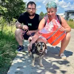 Znaleziono psa, Gdańsk, 7 czerwca 2024