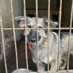 Kiri - ur.ok. 02.10.2022