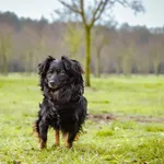 19.02.2024 - 1905 Roku