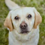 21.03.2024 - Warszawska