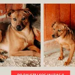 Karolek 616093902282915