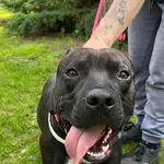 12877/91/24 data przyjęcia - 06.05.2024