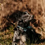 Kora 616093902519308