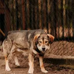 Teddy 616093902511198