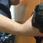 Znaleziono psa, Toruń, 3 maja 2024