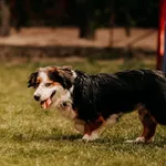 Bajka 616093902519737