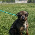 06.04.2024 - Moniuszki