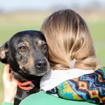 Mendi - łagodna, wesoła, kochająca człowieka!