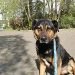 19.04.2024 - Idalińska