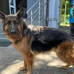 12886/100/24  data przyjęcia - 16.05.2024