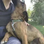 Karmelek - ur.ok. 15.08.2022