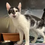 4482/50/24 Tutka - data przyjęcia - 20.05.2024