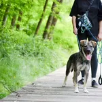 Misio 225/2024 REZERWACJA