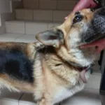 ODEBRANY 21.05.2024.